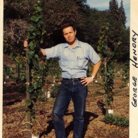 Young George Hendry standing next to a young vine in the Hendry Vineyard