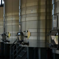 A row of stainless steel fermentation tanks